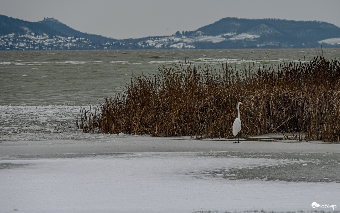 Repüljek? Vagy ne repüljek…. ?