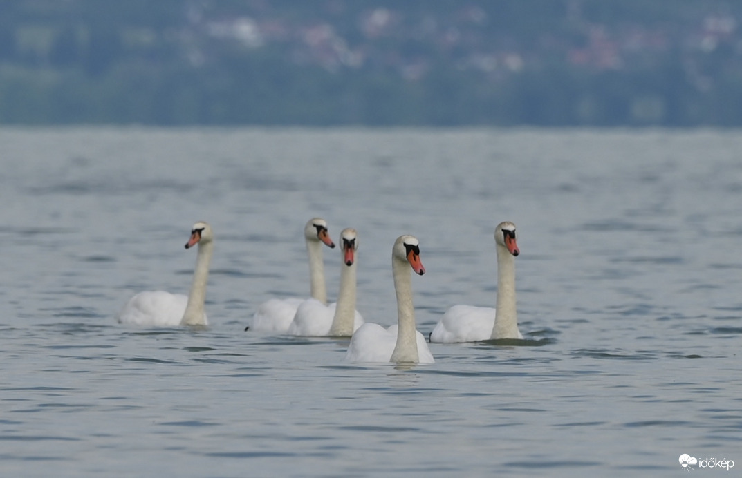 Az első strandolók 