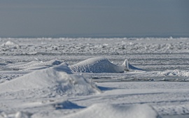 Sarkvidék . Nem ám, csak a Balaton 