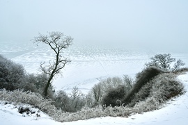 Ködbe veszett a túlpart , de a zúzmara varázslatos hangulatot kölcsönzött a fáknak 