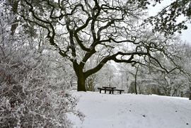 Zúzmarás ölelésben 