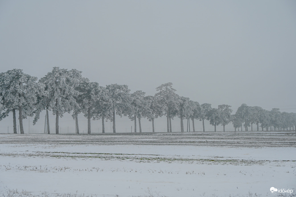 Köd és zúzmara kettőssége elbűvölő lazvany volt 