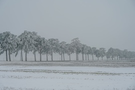 Köd és zúzmara kettőssége elbűvölő lazvany volt 