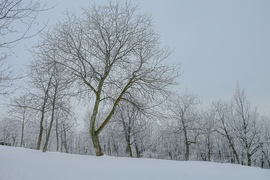 Szűrt fények, selymesen lágy kontrasztok . 