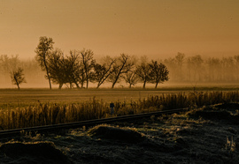 Varázslat a ködben 