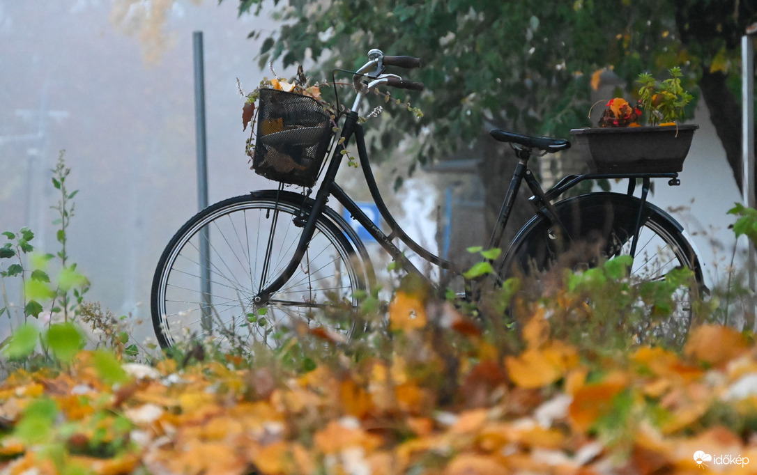 Aki bringára pattan, a lámpát ne felejtse el…. 