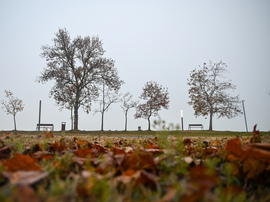 Ködre ébredtünk ma is…. 