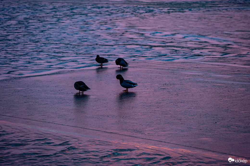Kis huncutokat még elbírja a vékony jég 