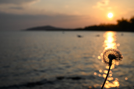 Reggel minden perc szerethető 