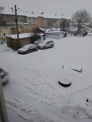 Szalárd