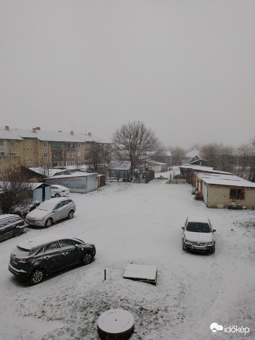 Szalárd