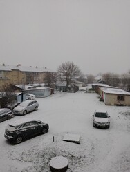 Szalárd