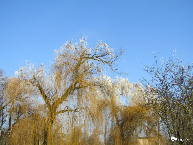 Zúzmara utolsó harca