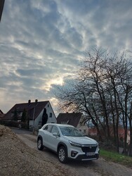 Waldzell