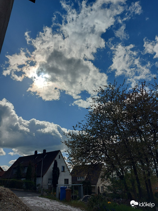Waldzell