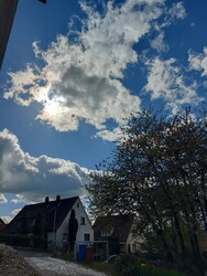 Waldzell