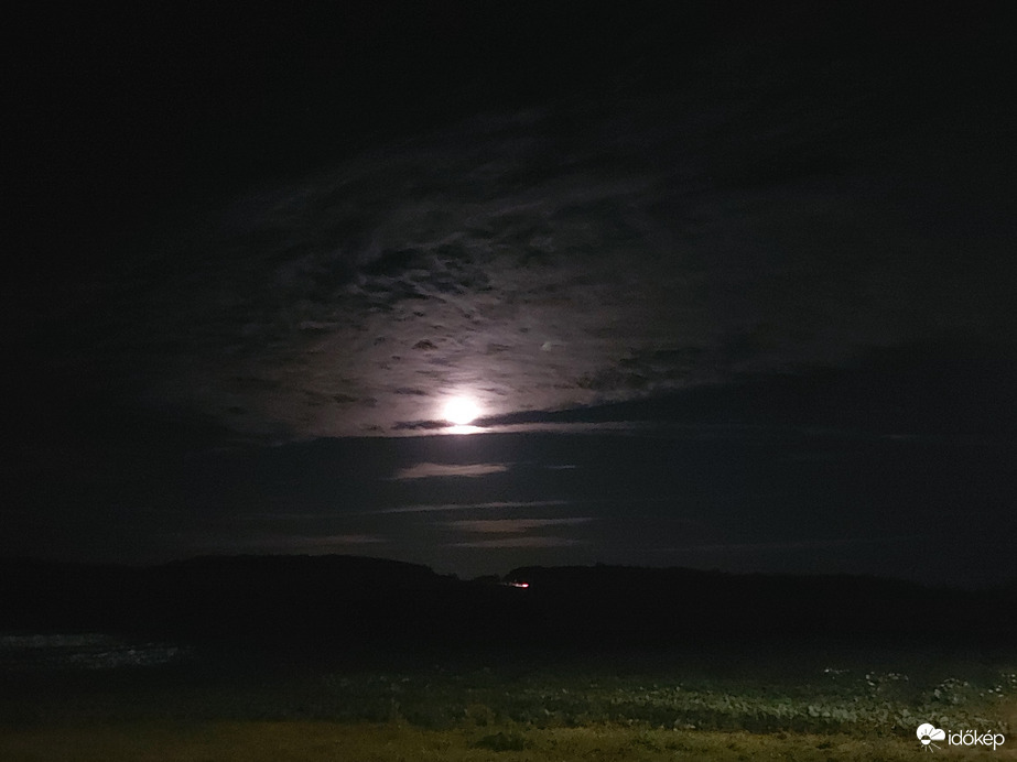 Waldzell