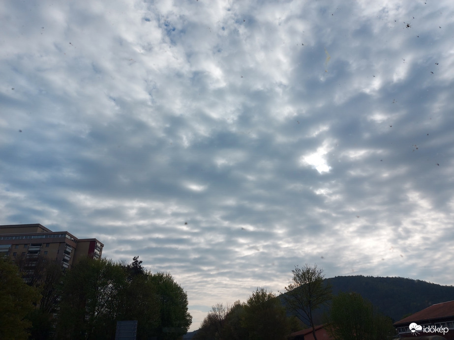 Lohr am Main