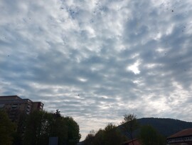 Lohr am Main