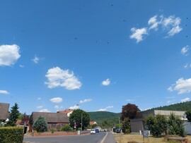 Gemünden am Main