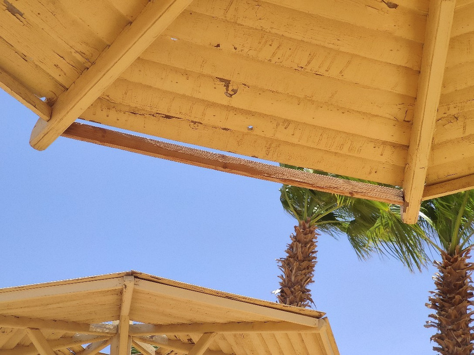 رأس أبو سومة