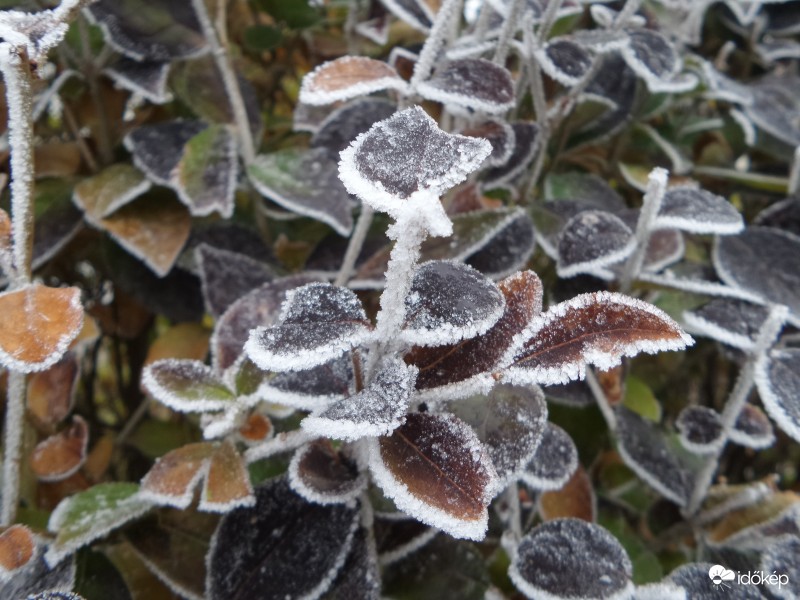 Colors of Winter