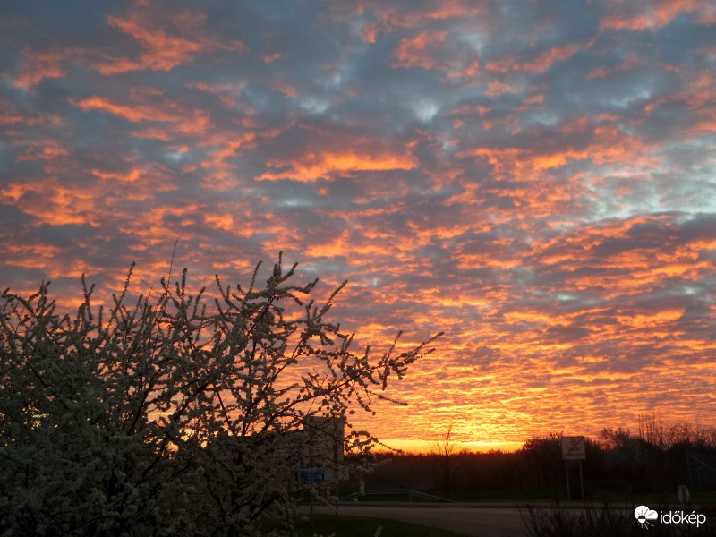 Springtime Sunset