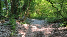 Makó