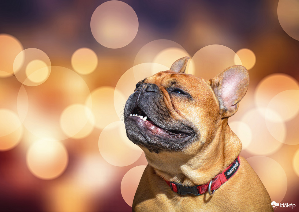 Élvezem a napsütést 