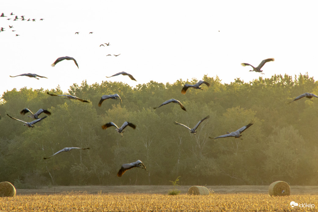 Hortobágyi Nemzeti Park 