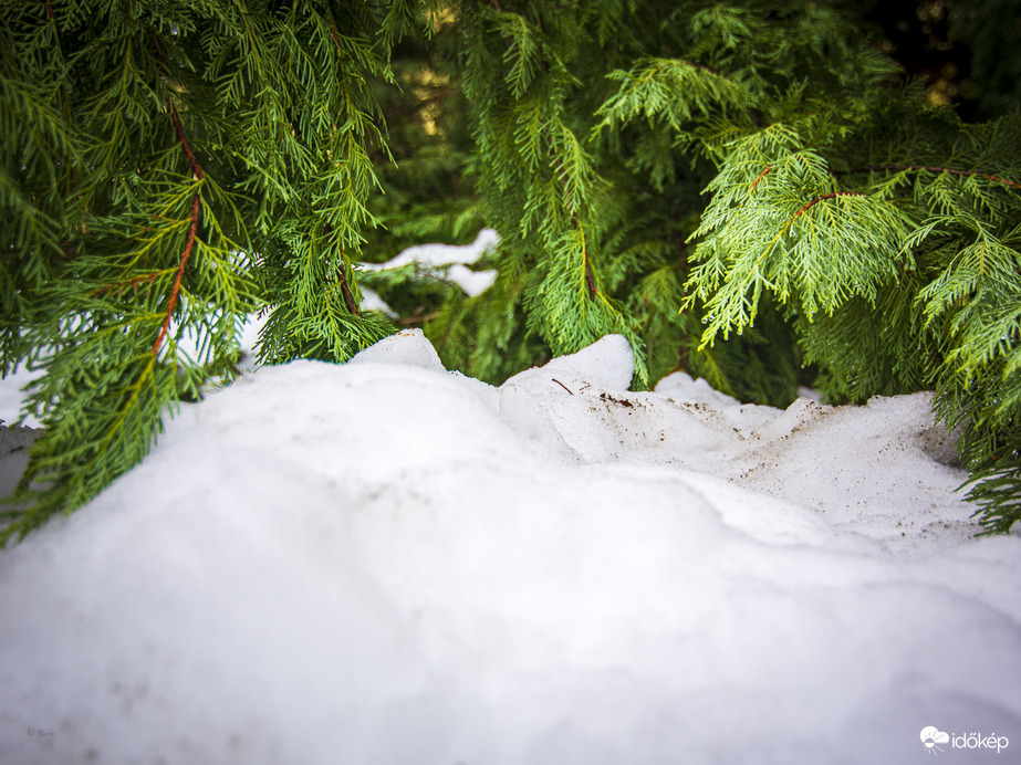 Téli kontraszt2