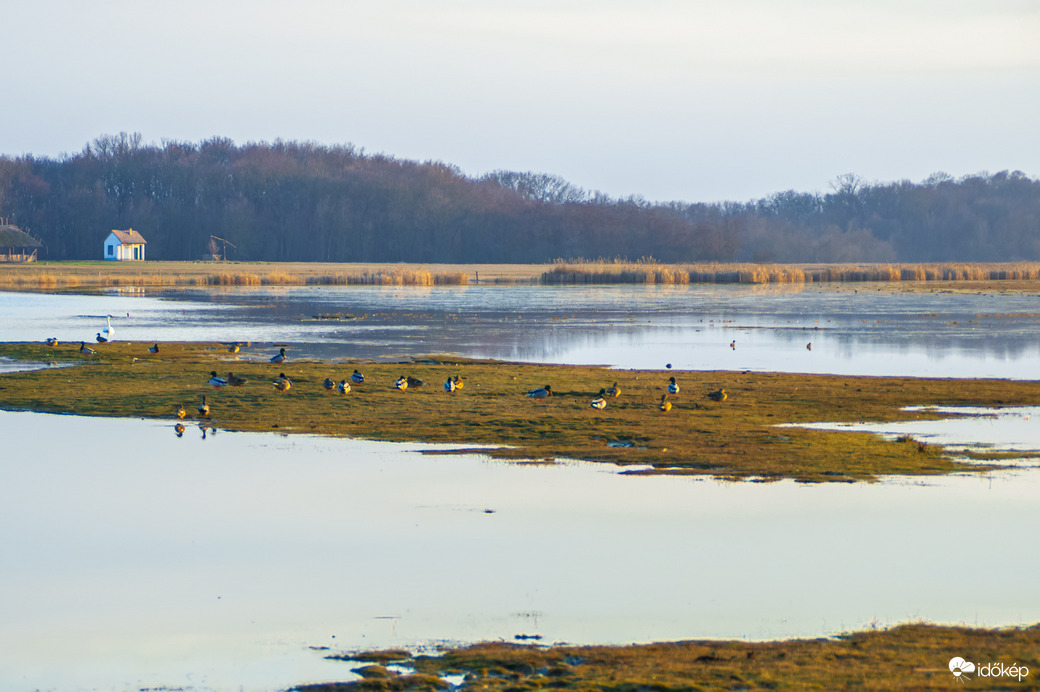 Nagy Szik természetvédelmi terület 