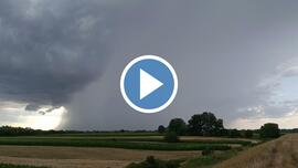 Oar