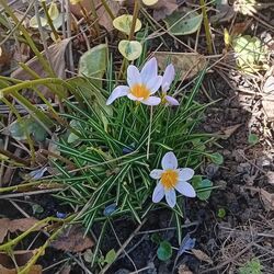 Tavasz Vas megyében