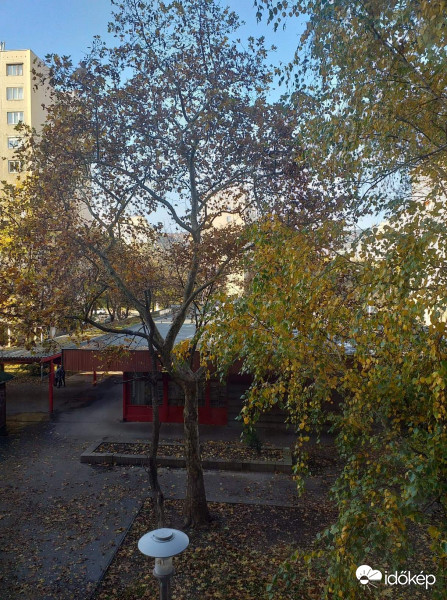 Előbújt a napocska