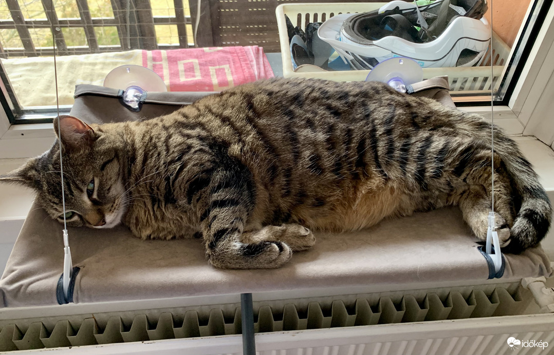 Ma hiába vártam a napocskára