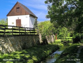 Tapolcafő