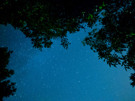 A Perseidák éjjelén 3
