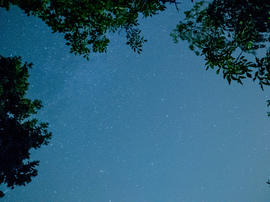 A Perseidák éjjelén 2