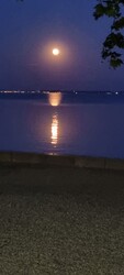 Balatonfüred