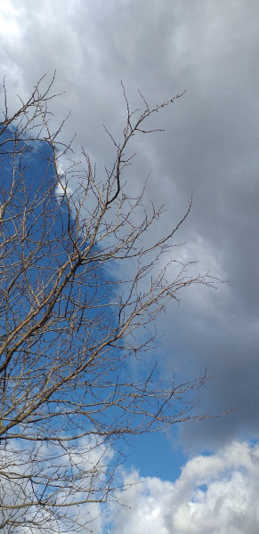 Budapest XX.ker - Pesterzsébet