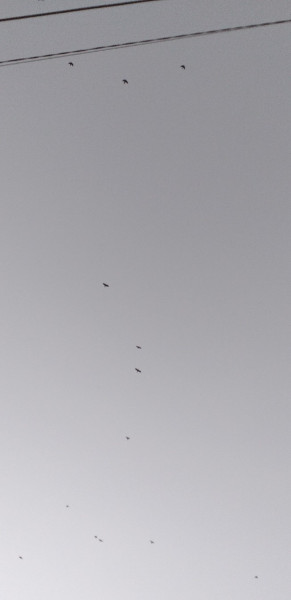 Budapest XX.ker - Pesterzsébet