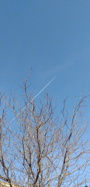 Budapest XX.ker - Pesterzsébet