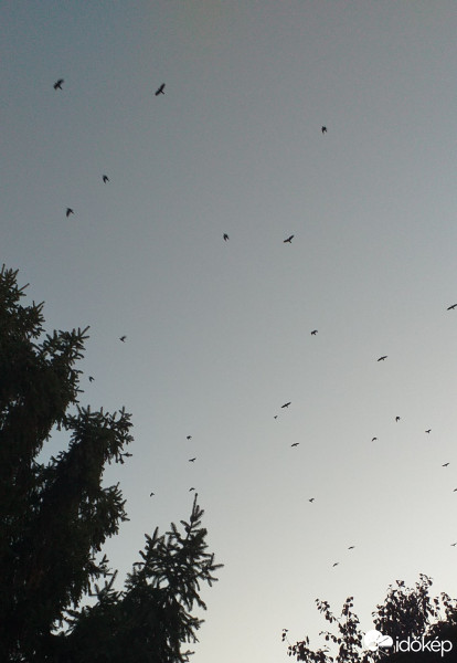 Budapest XX.ker - Pesterzsébet