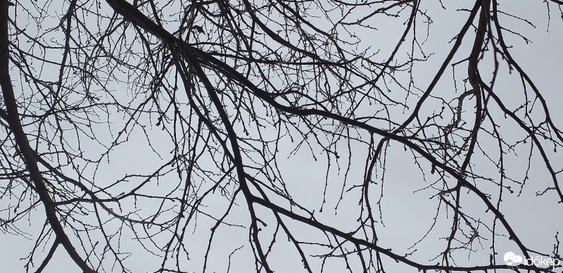 Budapest XX.ker - Pesterzsébet