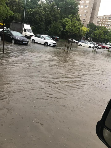 Polyik Anikó