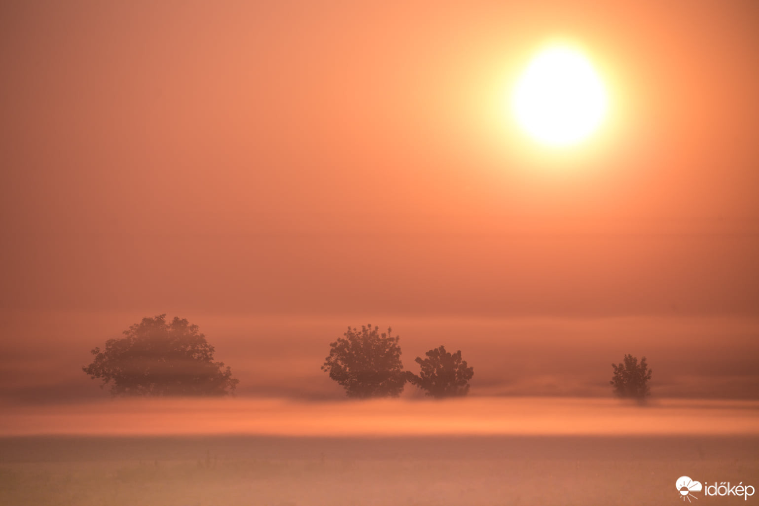 Fotó: Andras Pinter Photography