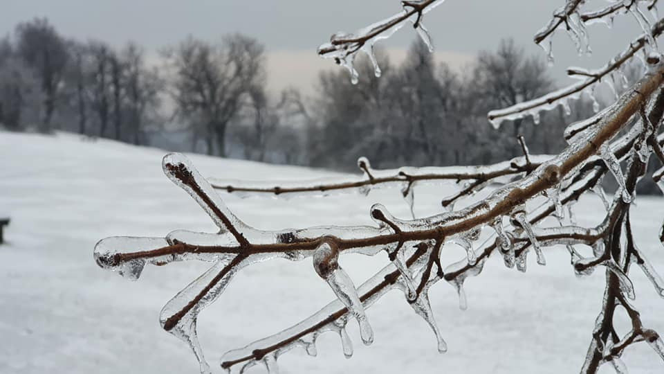Fotó: Normafa Park
