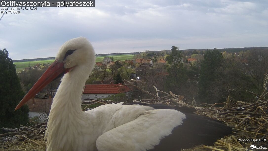 Pihenő