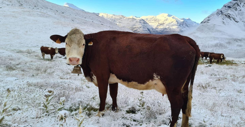 Behavazódott az Alpok - Kép: Meteo-Alpes/Paul Blanc